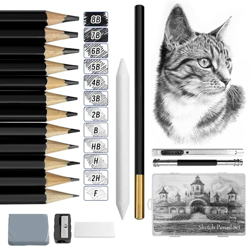 auriikoop Bleistift Set, 26 Zeichenstifte Set, HB B 2B 3B 4B 5B 6B 7B 8B F 2H H, Skizzienstifte mit Radiergummi und Spitzer, für Künstler, Erwachsene, Zeichnungen, Skizzieren Liebhaberin