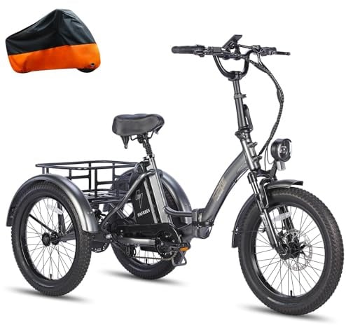 Fafrees F20 Mate E Bike Dreirad für Erwachsene 48V Zulassung [ Offiziell ] Herren E Bike Damen, Elektrofahrrad 3 Rädern 65N.m, Elektro Dreirad 20 Zoll, Ebike Lastenfahrrad IPX5, Fahrrad Fatbike 180kg