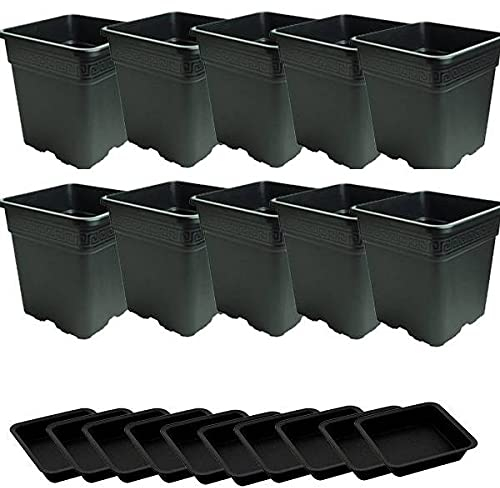 Idroponica Blumentopf quadratisch 18L + Untersetzer