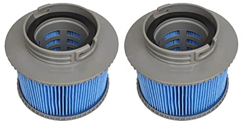 WuYan Ersatz-Filterkartusche für Poolfilter,2 Stück für MSpa Filterkartusche, Doppelpack, Grau, Standard（Verbesserte Edition Blau）