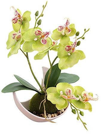 Flikool 3 Stelo Orchidea Artificiale in Vaso di Plastica Phalaenopsis Fiori Artificiale Finta Orchidee Bonsai Piante Artificiali per Casa Balcone Festa Nuziale Decorazione - Verde