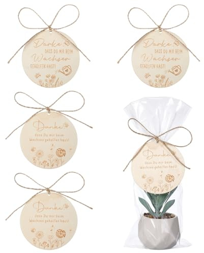 Tyqour 4 Stück abschiedskarte kita Abschiedsgeschenk Lehrerin Erzieherin Holz Geschenkanhänger Danke Geschenk Lehrerin Grundschule dankeschön Geschenk anhänger Geschenkverpackungen Lehrer