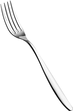 Salvinelli Fast Set Inossidabile, Acciaio Inox, Forchetta da Tavola 12 Pezzi