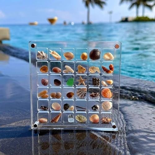 acryl magnetic seashell display box,seashell display box,muschel aufbewahrungsbox,klare diamant edelstein muschel seestern schmuck organizer box,tragbar klare muschel-aufbewahrungsbox(36Gitter,Klein)