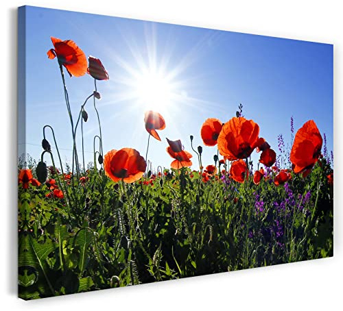 Leinwand (60x40cm): Blumenbilder Mohnblume Mohnblumen-Feld Sonne links oben