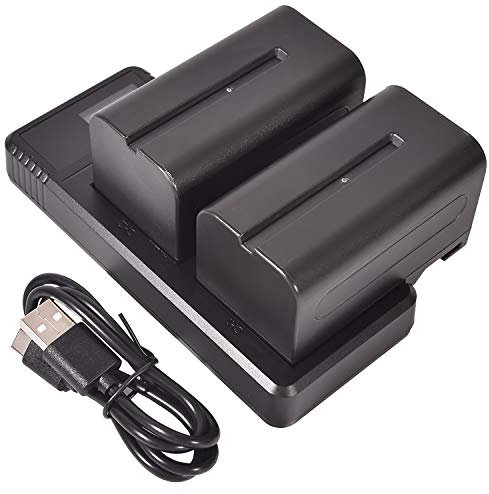 DSTE (2 Pack) NP-F750 Rechange Batterie + Chargeur Rapide Dual LCD Charger Compatible pour NP-F770,NP-F730 et Sony CCD-SC5 CCD-TR76 CCD-TRV93 HDR-FX1 CCD-TRV95 HVR-Z1U CCD-TR716 CCD-TRV91