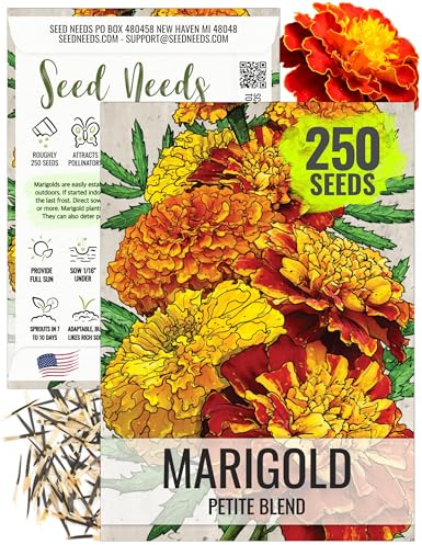 Seed Needs Petite Marigold Seeds to Plant Edible Annual Flowers 1 Pack