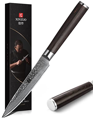XINZUO Couteau Tout Usage 12.3cm, 67 Couches Acier Damas Couteau Universel Finition Martelée Couteaux de Cuisine, Professionnel Couteau à Fruits Couteau de Chef avec Poignée en Bois de Pakka