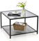 LIFEZEAL Mesa Centro de Vidrio Templado, Mesa de café Cuadrada con Estructura de Metal, Mesa de de Cristal con Estante de Malla Abierto para salón, Oficina (Gris, con Estante)