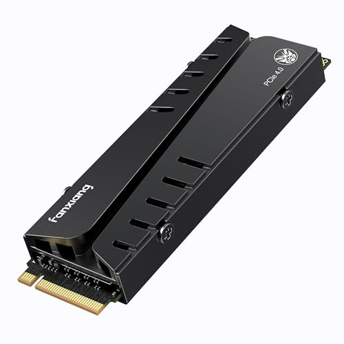 fanxiang SSD 500GB NVMe, PCIe4.0 SSD M.2 2280 Unità a Stato Solido Interna con Cache DRAM, Dissipatore di Calore, Fino a 7400MB/s, Perfettamente Compatibile con PS5(S770)