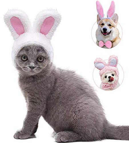 Swim Apex 3er Pack süße Hasenohren für Katzen kleine Hunde Haustiere Kopfbedeckungen Festival Kostümzubehör,Zubehör süße Ohren Stirnband Schwanz Fliege für Party Cosplay