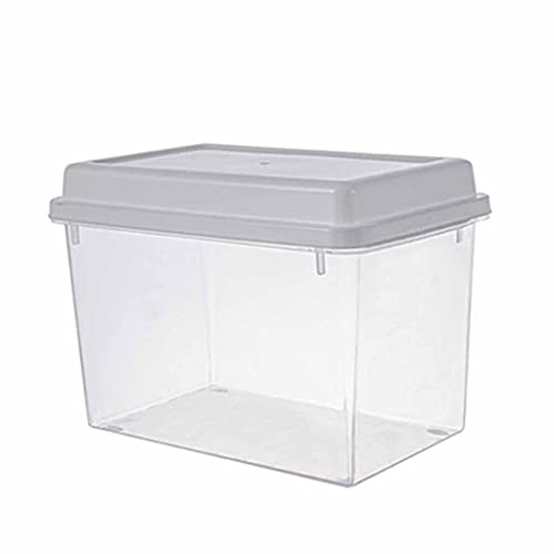 TONZN Panera de cocina de plástico transparente para repostería, verduras, frutas, a prueba de fugas, con tapa, caja de almacenamiento de alimentos, suministros para el hogar