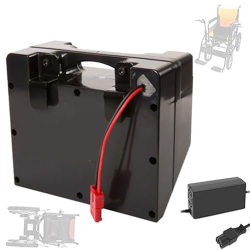 TGHY Batterie pour Fauteuil Roulant montée à l'arrière Batterie pour Fauteuil Roulant électrique 24V 40Ah 50Ah 60Ah Batterie Lithium-ION avec Chargeur pour kit Moteur 50W-1500W,60ah