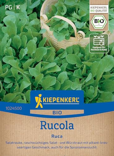 Kiepenkerl Rucolasamen Ruca Salatrauke 1024500 - Bio Kräutersamen für ein raschwüchsiges Salat- und Würzkraut und einem Inhalt für 15 bis 20 lfd. Meter - Saatgut, Pflanzen