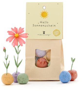 8 Wildblumen-Saatkugeln als kreatives Geschenk | Samenbomben mit Wildblumen-Saatgut | Perfekte Geschenkidee für Geburtstage, als Dankeschön, als Aufmunterungsgeschenk und für Sonnenschein-Momente
