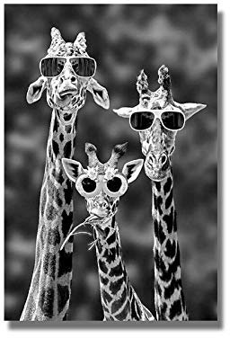 Impression d'art Noir et Blanc Animaux Peinture sur Toile girafes drôles Affiches et Impressions Mur Art Photo pour Salon décor à la Maison 50X70 cm sans Cadre