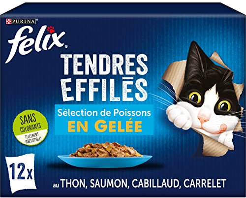 FELIX Zarte Gelee | ausgewachsene Katze | Auswahl an Fischen | 12 x 85 g | Frischebeutel
