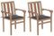 Brokky Gartenstühle 2 STK. mit Anthrazit Kissen GartenstüHle Gartensessel Outdoor Garten StüHle Terassenstuhl Massivholz Teak - 3062208