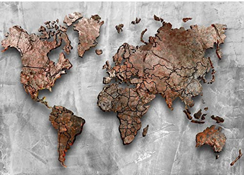 Runa Art Papier peint intissé Mural carte du monde Moderne Toison Salon Chambre à Coucherr Salle - Tableaux Muraux Tapisserie Photo - gris bronze 9087010a