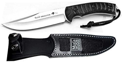 Muela Cuchillo PREDATOR-14W hoja de acero MoVa de 12,5 cm y empuñadura de micarta gris biselada para Caza, Pesca, Supervivencia y Bushcraft Realizado en Ciudad Real + Portabotellas de regalo