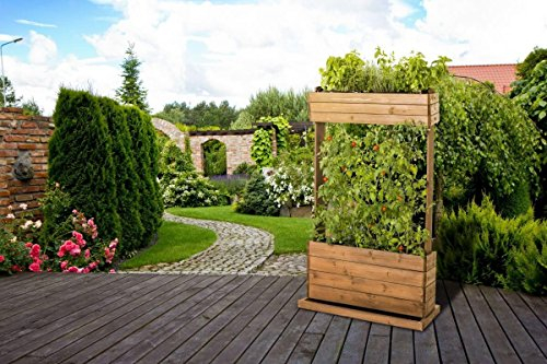 Vertikales Hochbeet aus Holz mit Rankseile Cube 2