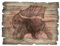 Artland Wandbild aus Holz Shabby Chic Holzbild rechteckig 40x30 cm Tiere Stier Bulle Hörner Kampf Katalonien Spanien Vintage Rustikal T4IU