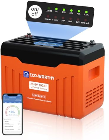 ECO-Worthy 100Ah LiFePO4 Akku 24V Lithium Batterie mit Bluetooth, 100A BMS, SOC und Low Temperature Schutz, Max.15000 Zyklen, 2560Wh für Heimenergiespeicher, Wohnmobil, Off-Grid-Systeme