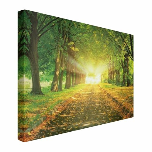 micasia Akustikbild Wald Bäume Natur Schallschutzbild 4cm Keilrahmen & Schallabsorber - Baum Modern grün Wohnzimmer Schlafzimmer Bild für bessere Raumakustik 1672 (120x80cm)