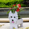 Gochoi Westie Gifts - Vaso rettangolare in PVC, per piante grasse e grasse