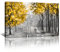 FajerminArt Herbstbaum Großes Leinwand Bilder mit Rahmen grau gelb Baum bild auf Leinwand Bild Modern Wandbilder XXL Kunstdruck Deko für Wohnzimmer Schlafzimmer fertig zum Aufhängen 90x60cm