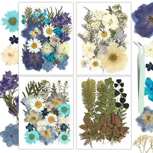 Resiners 100 Stück Blau Getrocknete Blumen Natürliche Gepresste Getrocknete Blumen Blätter für Harz Schmuck Machen, DIY Kerzen, Anhänger, Handyhüllen, Fotorahmen, Bath Bombs, Scrapbook