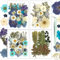 Resiners 100 Stück Blau Getrocknete Blumen Natürliche Gepresste Getrocknete Blumen Blätter für Harz Schmuck Machen, DIY Kerzen, Anhänger, Handyhüllen, Fotorahmen, Bath Bombs, Scrapbook