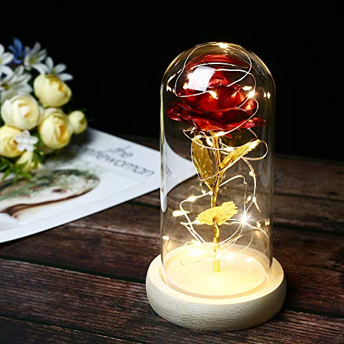 TINYOUTH Rot Rose in Glas, 24K Ewige Rose in Glas mit Beleuchtung Batterien Inklusive Schöne und das Biest Rose für Hochzeit Jubiläum Mama Valentinstag Weihnachten Geburtstag