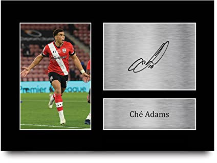 HWC Trading A4 Che Adams Southampton Gifts Printed Signed Autograph Picture for Football Fans and Supporters