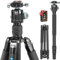 WEYLLAN Stativ-Carbon-Fiber 185cm, Kompaktes-Groß-Stativ-Reisestativ Einbeinstativ Funktion, Professionelles Tripod Hochstativ Kamera Stativ DSLR Mit 44mm Kugelkopf, 32.5mm Bein, 25kg Tragkraft