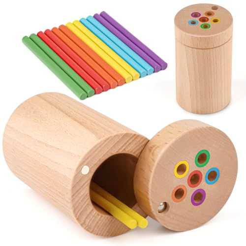 Vanplay Montessori Spielzeug ab 2 Jahr, Sortierspiel, Motorikspielzeug, Kinderspielzeug ab 3 Jahre, Holzspielzeug Sensorik Spielzeug Baby
