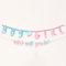 Amscan 120638-55 - The Big Gender Reveal Party Paper Letter Banner Decoration Kit - 2 Pack