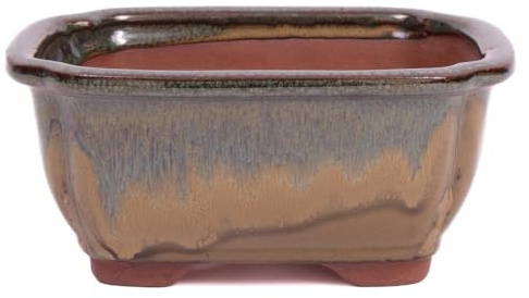 Bonsai - Schale eckig 16 x 12.5 x 7.5 cm, beige/grünblau 22137