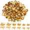 SOFPLATE 1 Box 240 Stück 3 Stile Metall Krallenperlen Kuppelnieten Spike Nieten Punkte 6mm 8mm 10mm Goldmessing Punkrock Pilzkopf Spike Zinkennagel Für Lederhandwerk Kleidung Gürtel Tasche Schuhe D