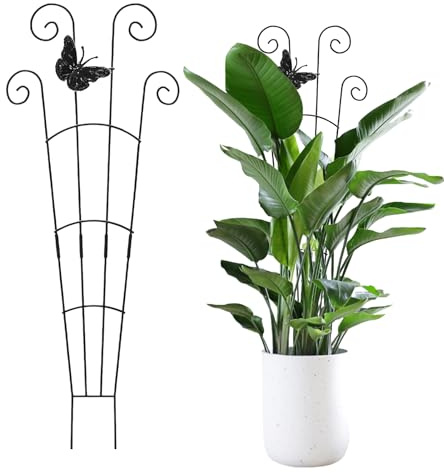 Piquets de Support pour – Accessoire Robuste pour Toutes Les Saisons, piquets d'escalade pour en Pot | pour légumes, Vigne, Poivre, orchidée, Lierre, Fleurs, Rebord de fenêtre
