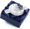 Pewtermill Crafts Zinn-Quaich, Handgefertigt in Schottland, Traditionell, Silber, Nature, 7,6 cm