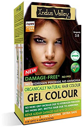 Indus Valley natürliche, organische, schadensfreie, permanente Gel-Haarfarbe, bis zu 100% Grauabdeckung | Von Ärzten empfohlen, Bio-Natur-zertifiziert - Burgunderrot 3,6 (20 g + 200 ml) 1 Stück