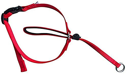 Boolavard Hundehalsbänder & Leinen Haustierhalsband Sanfte Kontrolle Leine Leader Stop Pull Trainingswerkzeug No-Pull Schmerzlos (Small, Rot)
