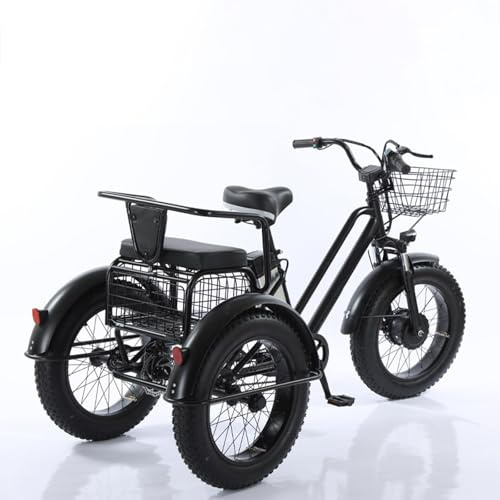 PRECISTECH Triciclo Eléctrico 3 Ruedas Estable para Adultos, Motor 250w, Batería Removible 48v, Neumáticos Fat Tire 20, Transporte Y Ciudad