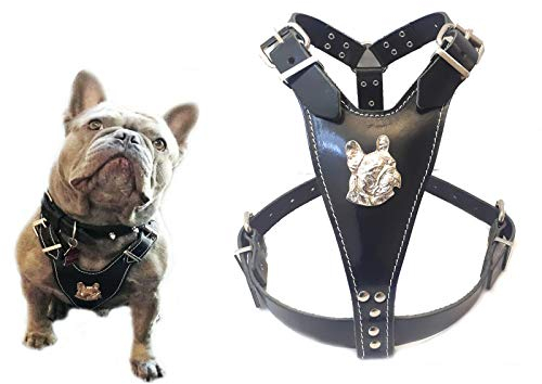Schönes Hundegeschirr aus Leder, Größe M, mit Motiv Französische Bulldogge, nur für ausgewachsene Französische Bulldoggen, Schwarz