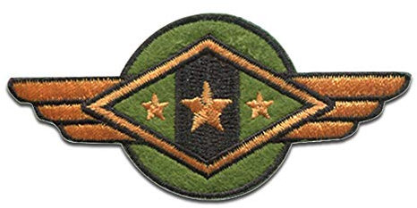 Aviatore L'esercito militare Badges - Toppe termoadesive Patch Toppa ricamate, misura: 3,6 x 7,9 cm