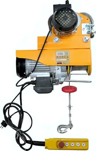 Dragon Winch Treuil Électrique 400/800kg Palan Électrique 230V + Chariot | de levage 12m. assure un travail en toute sécurité dans l'atelier ou l'entrepôt grâce au frein automatique et Télécommande