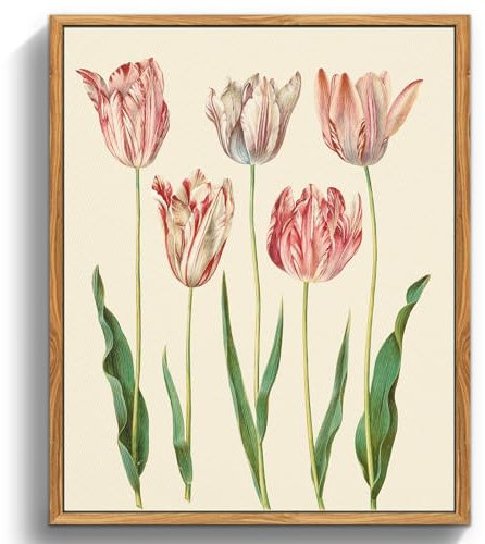 MHARTK66 Quadri Vintage Botanico Soggiorno con Cornice Legno, 30x40 cm Stampe da Parete Tulipani Rosa Fiori Illustrazione, Quadro Camera da Letto Su Tela Decorazioni Parete Desktop Arte Bagno