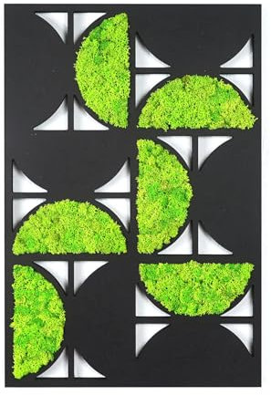 ebenkunst Moosbild Halbkreis Panel - Wanddeko Wohnzimmer mit Islandmoos, 50x33 cm, HDF Schwarz, Holz Deko für Wohnräume, 1 cm Stärke