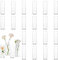Glasseam Vase Cylindrique en Verre pour Table: 24 Petits Vases à Boutons pour Centre de Table de Mariage, Décoration de Table pour la Maison - Vase à Fleurs Moderne et Transparent pour Rose Tulipe